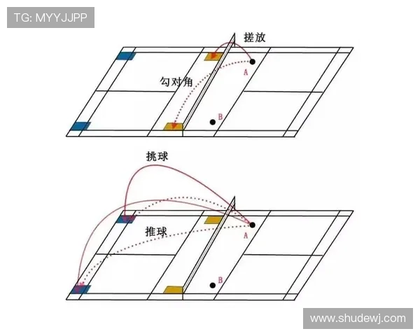成都羽毛球队战术解析:聚焦技术与团队配合的完美结合 成都羽毛球队战术解析:聚焦技术与团队配合的完美结合