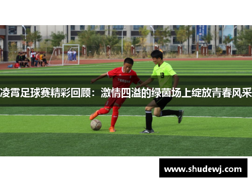 凌霄足球赛精彩回顾：激情四溢的绿茵场上绽放青春风采