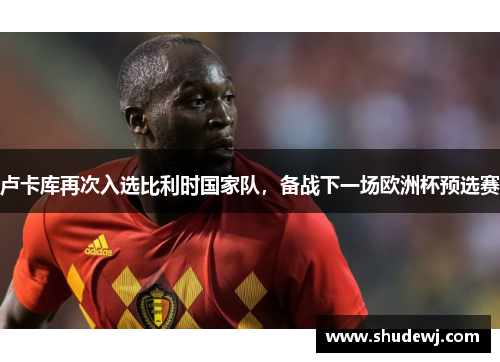 卢卡库再次入选比利时国家队，备战下一场欧洲杯预选赛