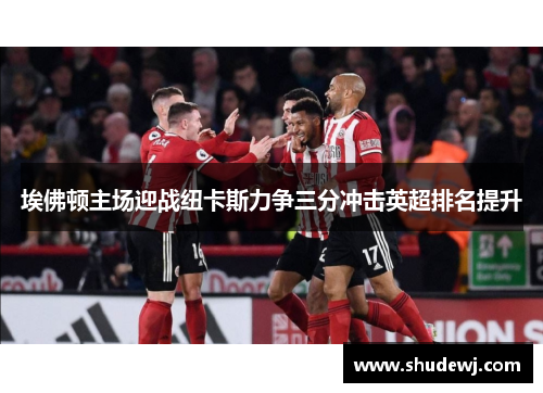 埃佛顿主场迎战纽卡斯力争三分冲击英超排名提升
