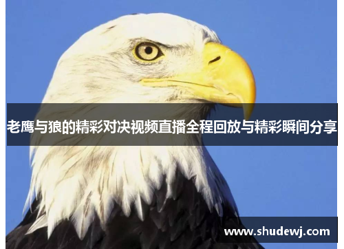 老鹰与狼的精彩对决视频直播全程回放与精彩瞬间分享