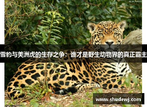 雪豹与美洲虎的生存之争：谁才是野生动物界的真正霸主
