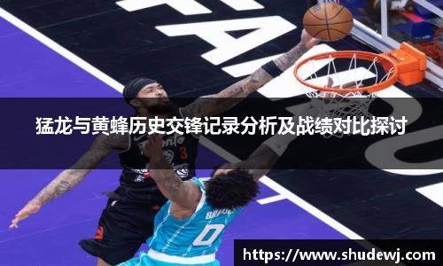 猛龙与黄蜂历史交锋记录分析及战绩对比探讨